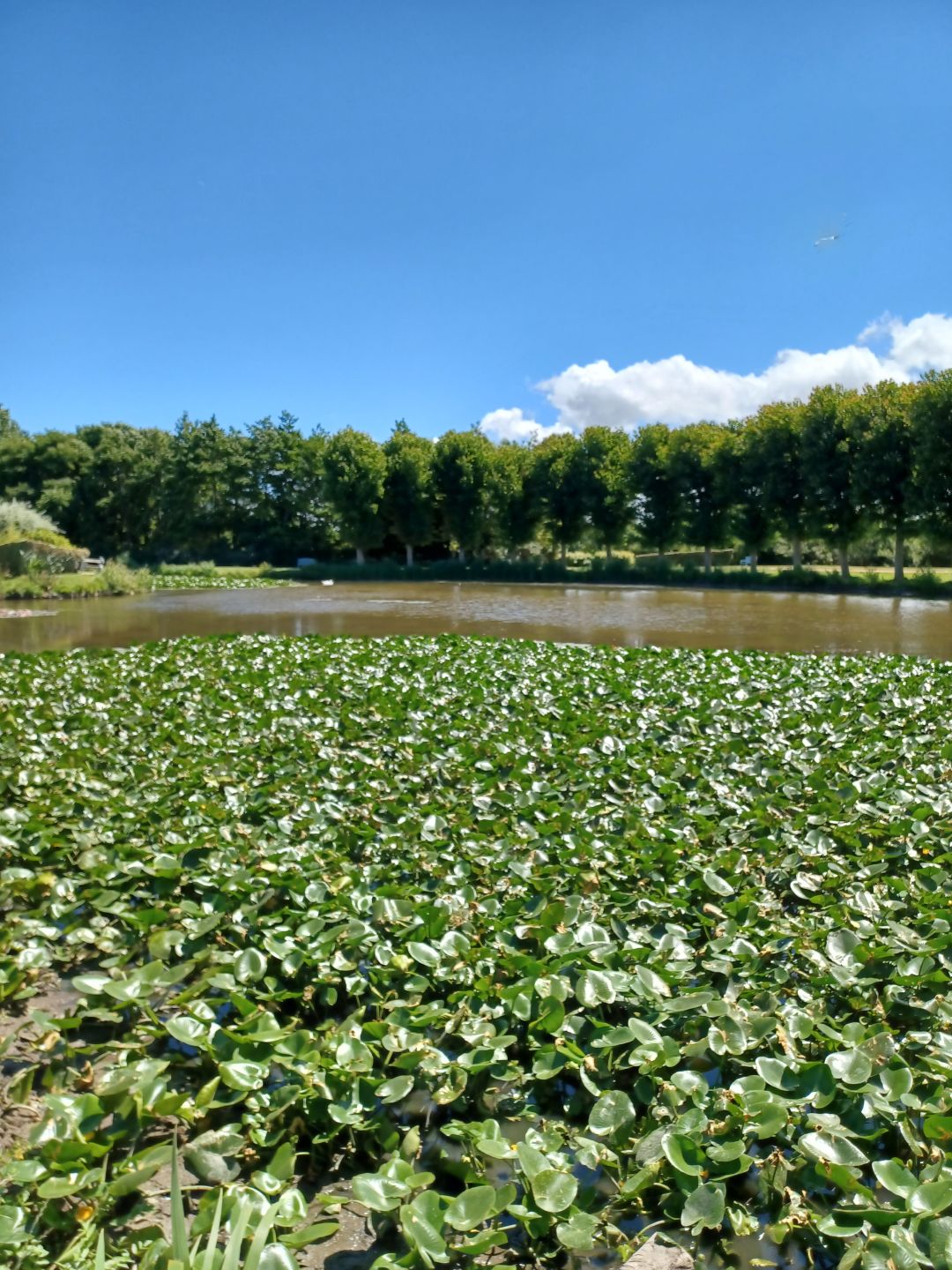 3779dba92ad80d2146c1ad47eec4ad53