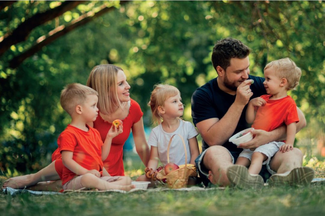 Programme immobilier L'Emeraude à Vénissieux