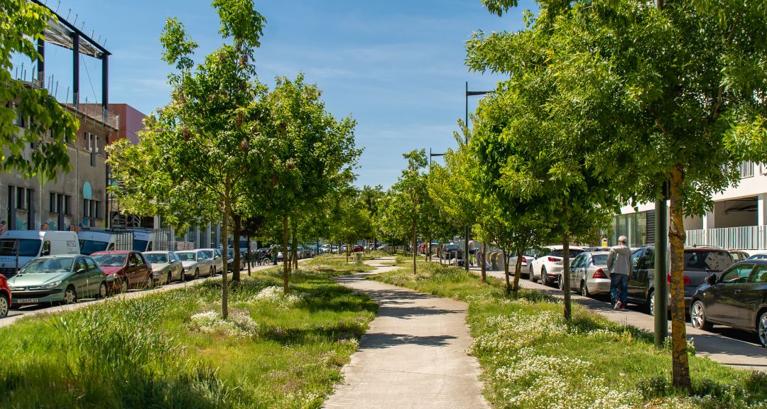 Programme immobilier Les Arcades de l'Althéa à Bordeaux