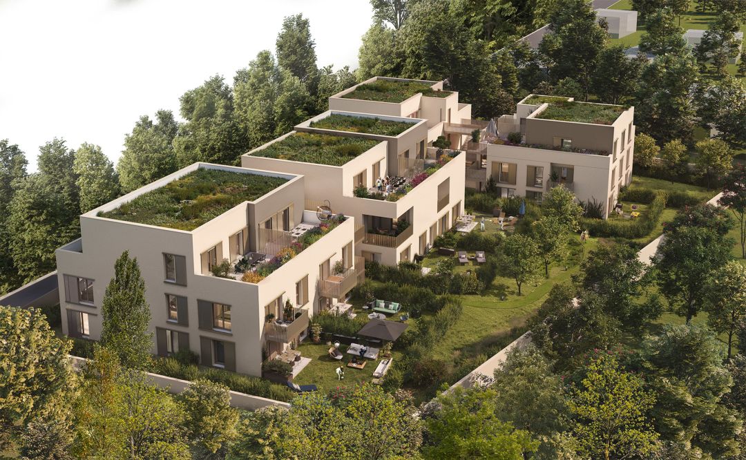 Neuf à Saint-Romain-au-Mont-d'Or : 12 appartements dès 269 200 € — photo 2