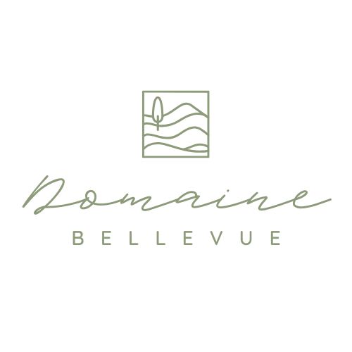Programme immobilier Domaine Bellevue - LÉOGNAN (33) à Léognan