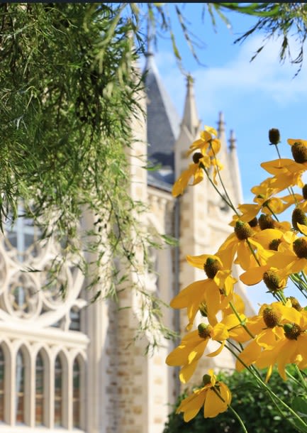 Programme immobilier Pulse à Orvault