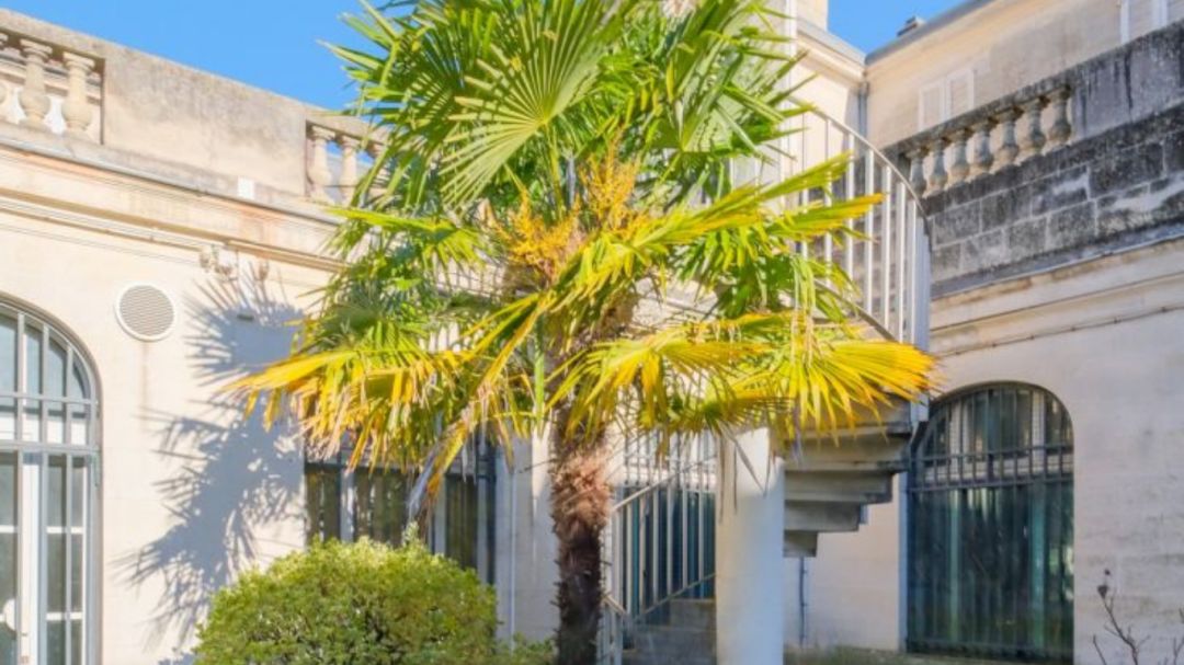 65e0e6726c806a6695c382ffb2d78fd0