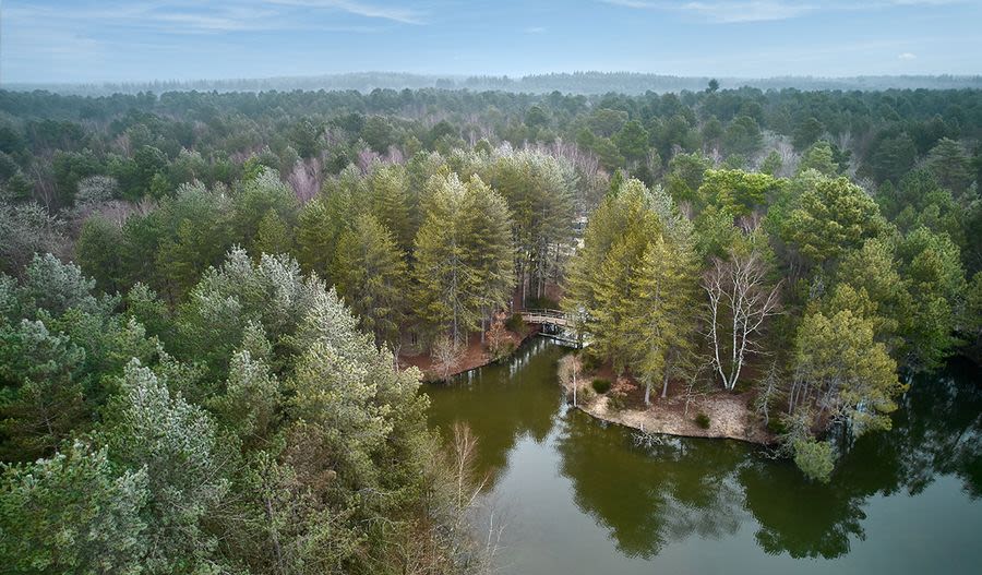 Center Parcs Les Hauts de Bruyères