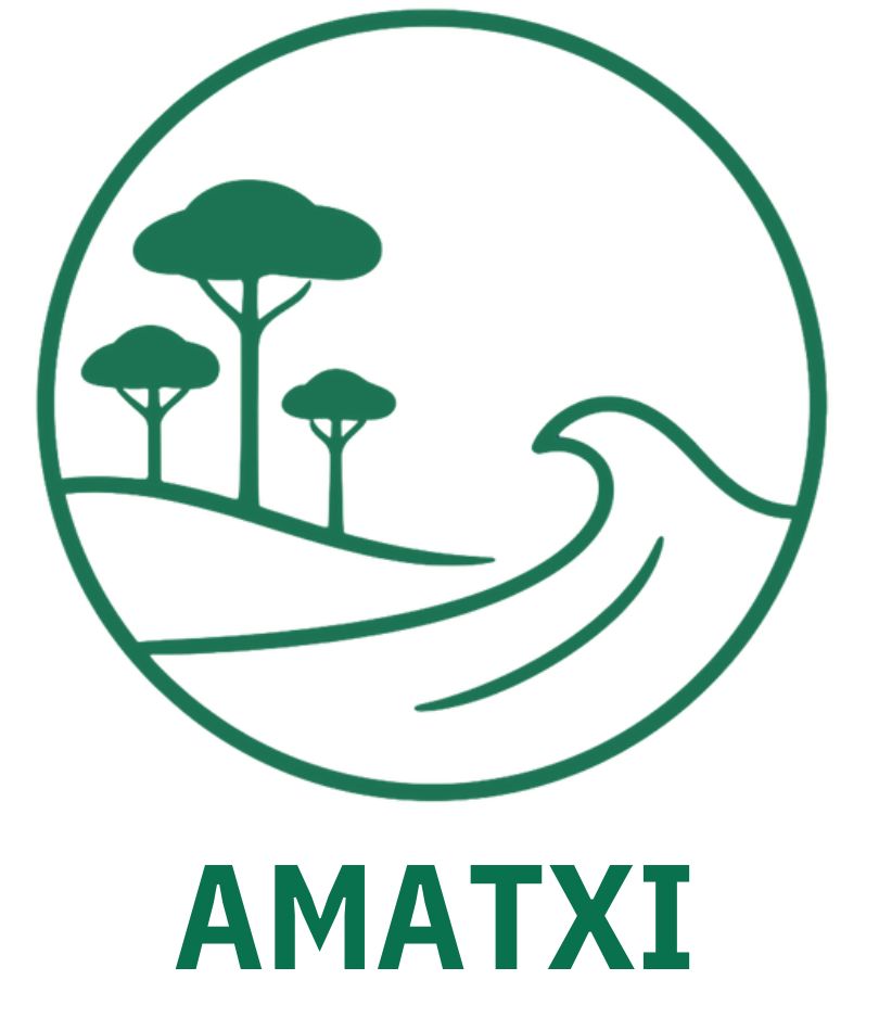 Programme immobilier Amatxi - BISCARROSSE (40) à Biscarrosse