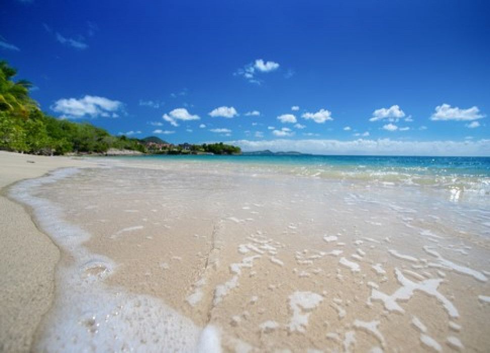 723e1c759f2ce0607e8e80ce460cca28