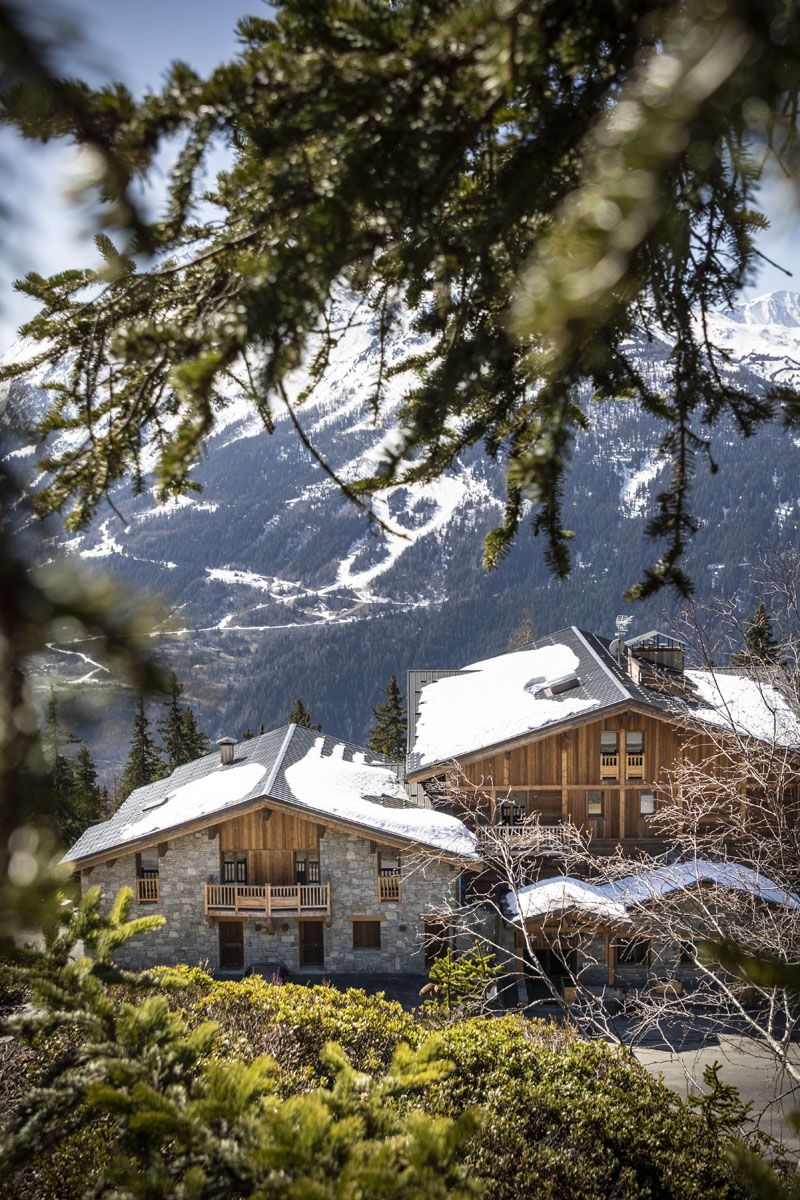 LE DIAMANT DES CIMES