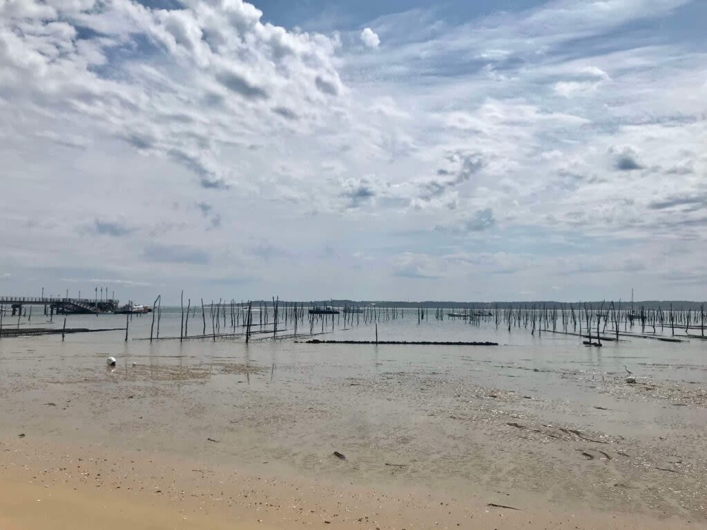 Programme immobilier Villas Beaurivage à Arcachon