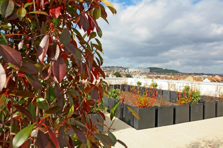 7be7171e0a3206aba8b0244df7f9dc14