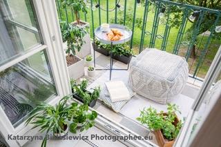 Programme neuf à Arbonne : 3 appartements dès 397 000 € — photo 4
