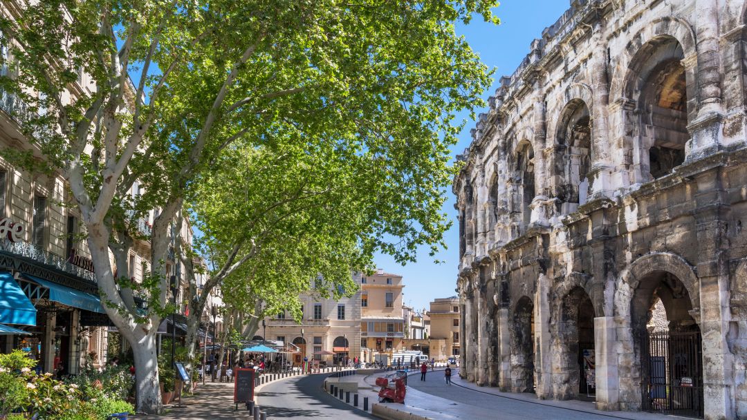 Programme immobilier NÎMES : Régale à Nîmes