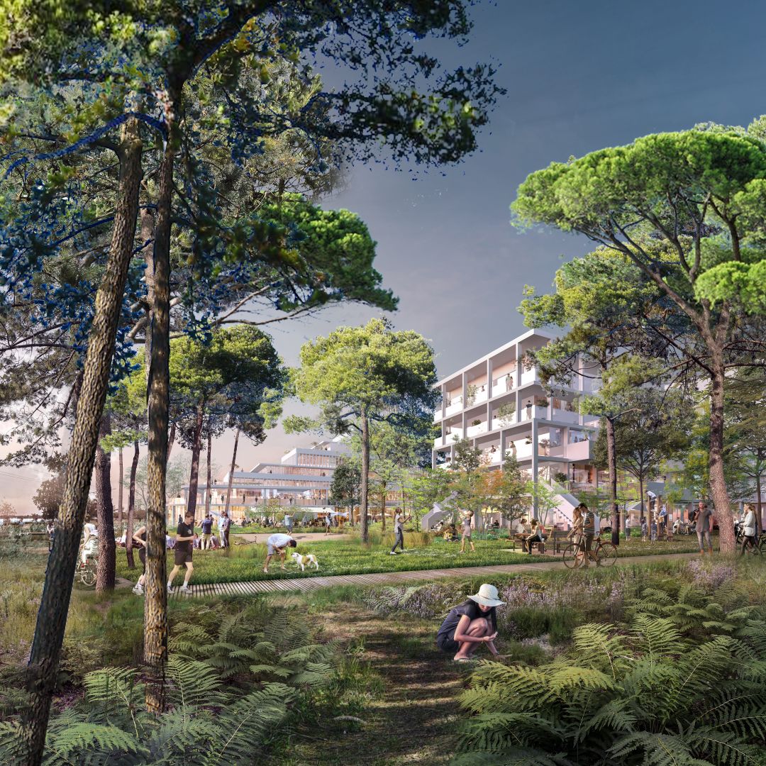 95e8fc56264c21f7ef50abb0336bf05a