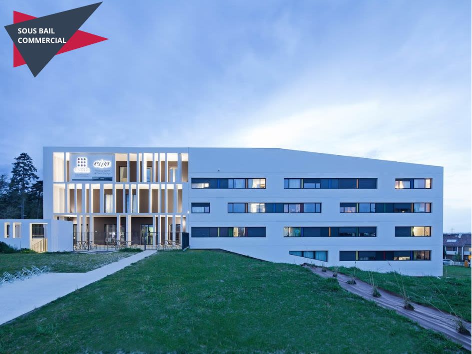 Artémisia -  Auzeville-Tolosane