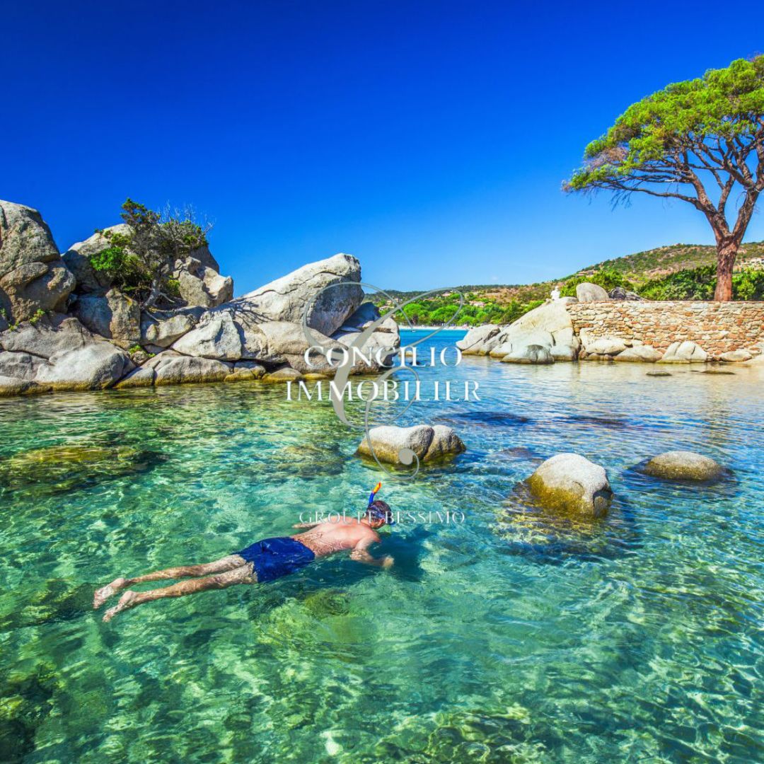 Programme immobilier RÉSIDENCE HÔTELIÈRES DOLCE NOTTE - CORSE à Saint-Florent