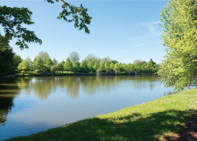 9aa414ee614426f8923a1da34ee5ff0a