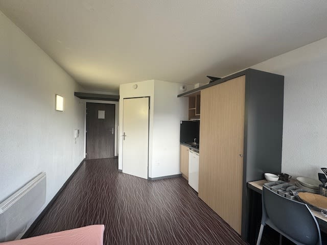 Artémisia -  Auzeville-Tolosane