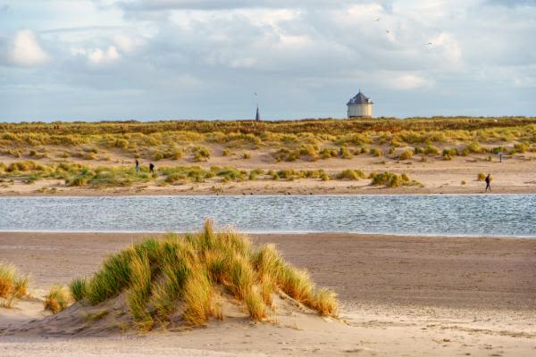 Biscarrosse — photo 5