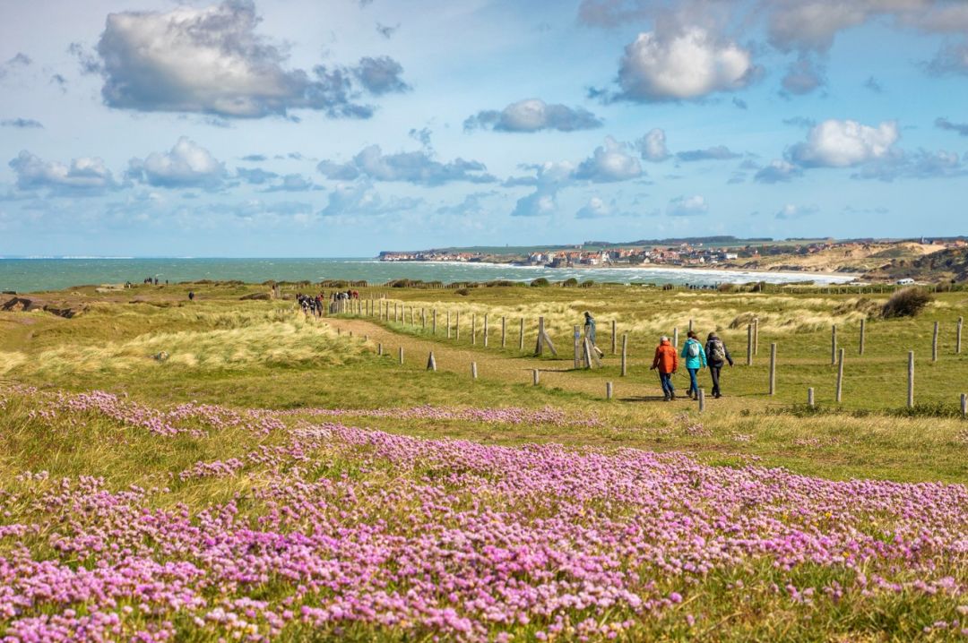 Programme immobilier Cap Nature à Ambleteuse