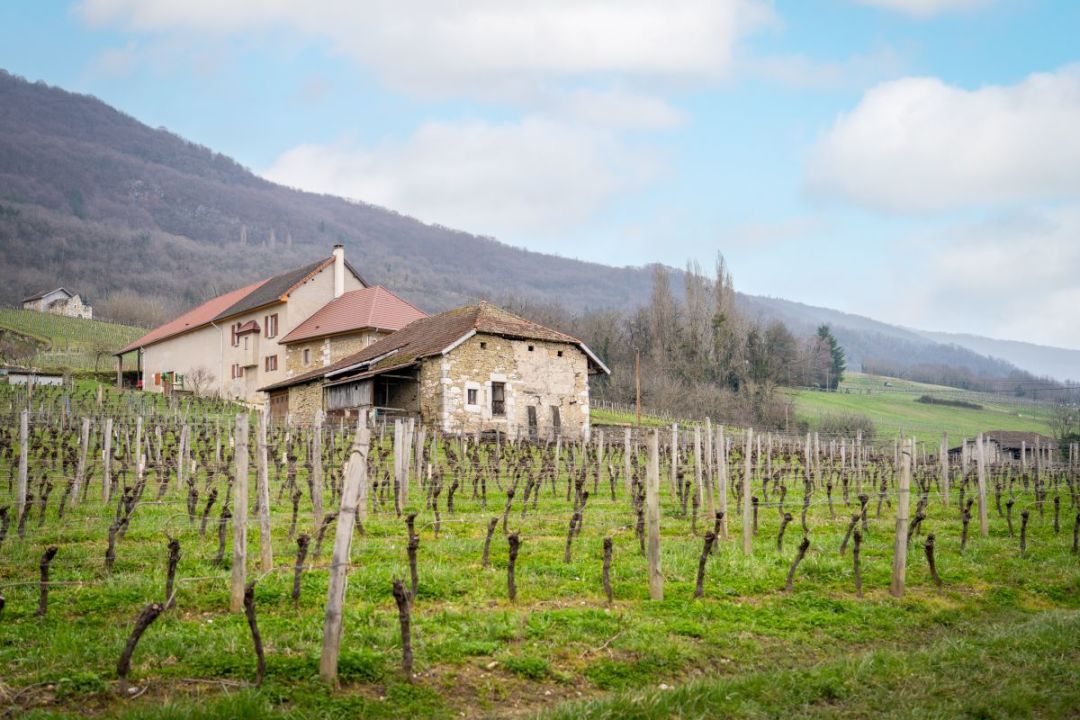 Programme immobilier VILLA D'ARBESSIEUX à Ruffieux
