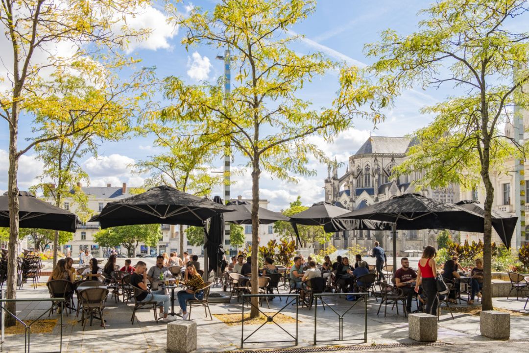 b2fcd3e1941cfcad9f971878640da782