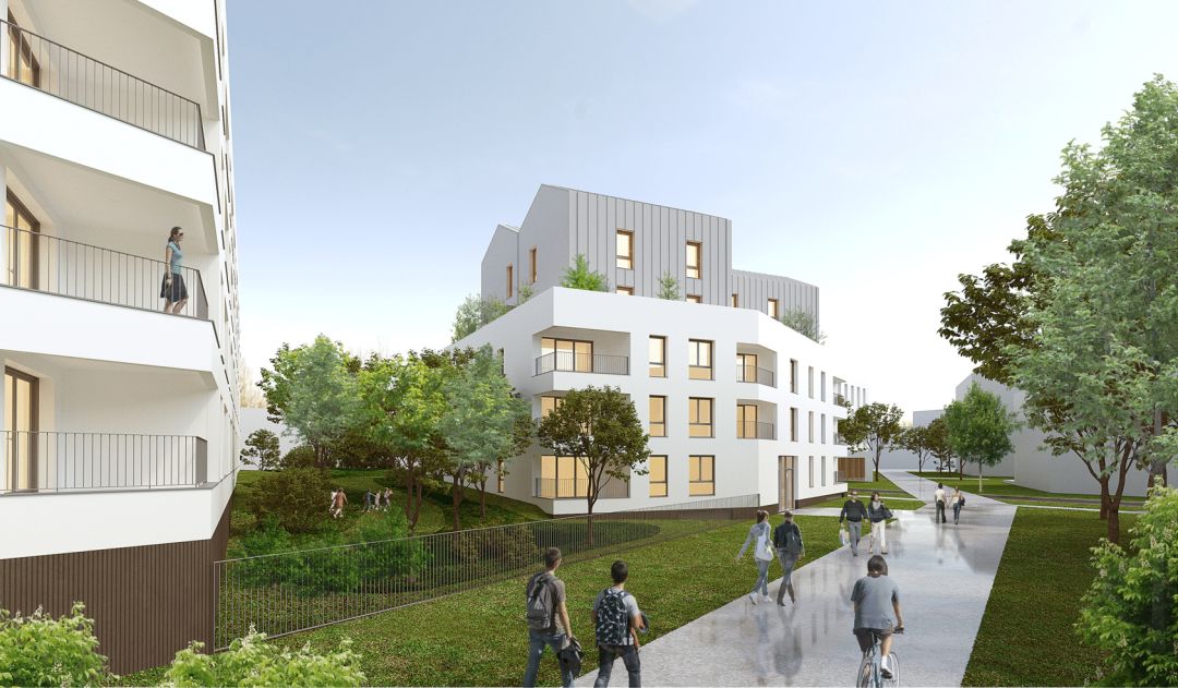 b338a0c503879a4d813d4954e288e254