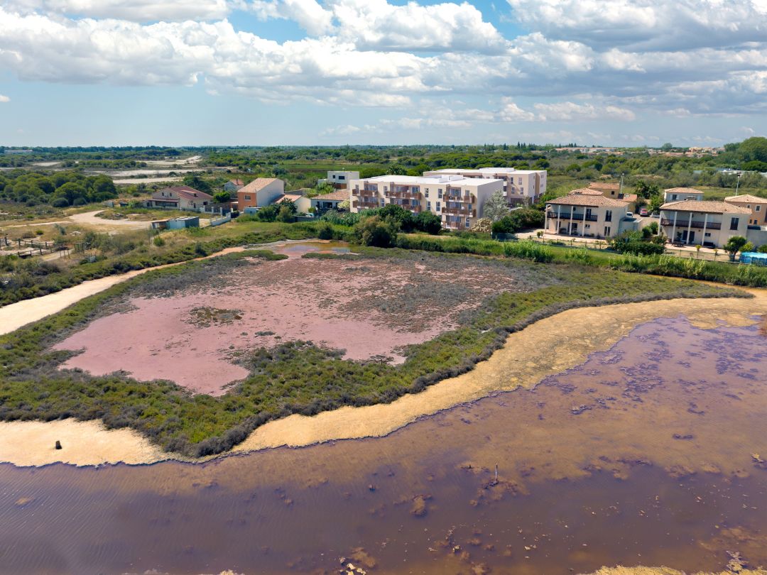 bc66685dd92cf9e4367ca145e5cf10e0