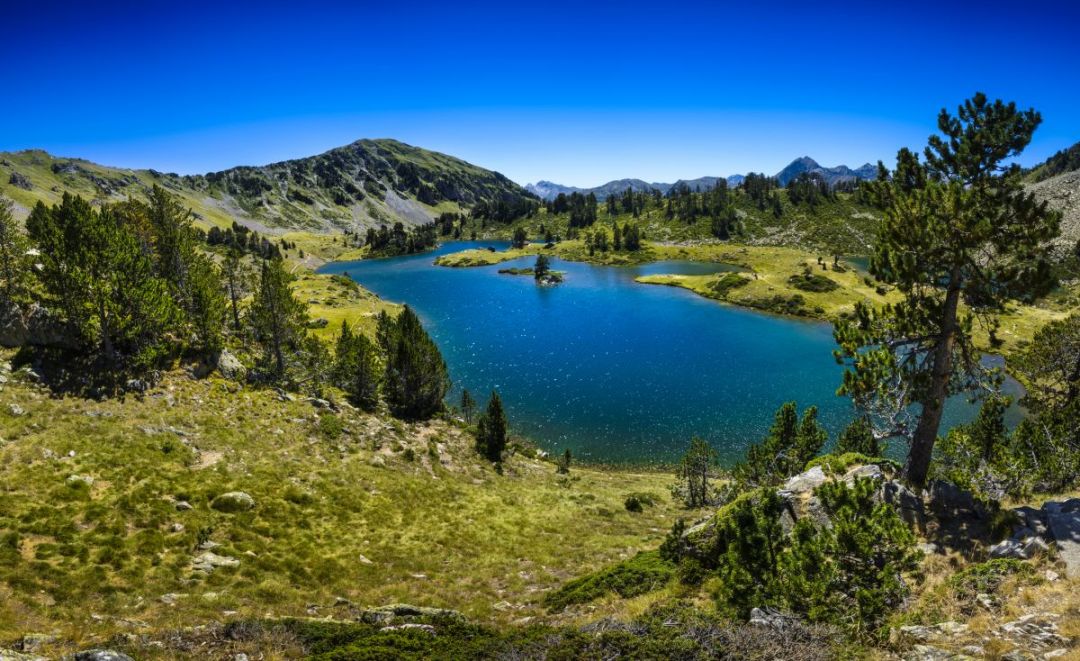 c10f01cfd041e3c36a7b335342da9255