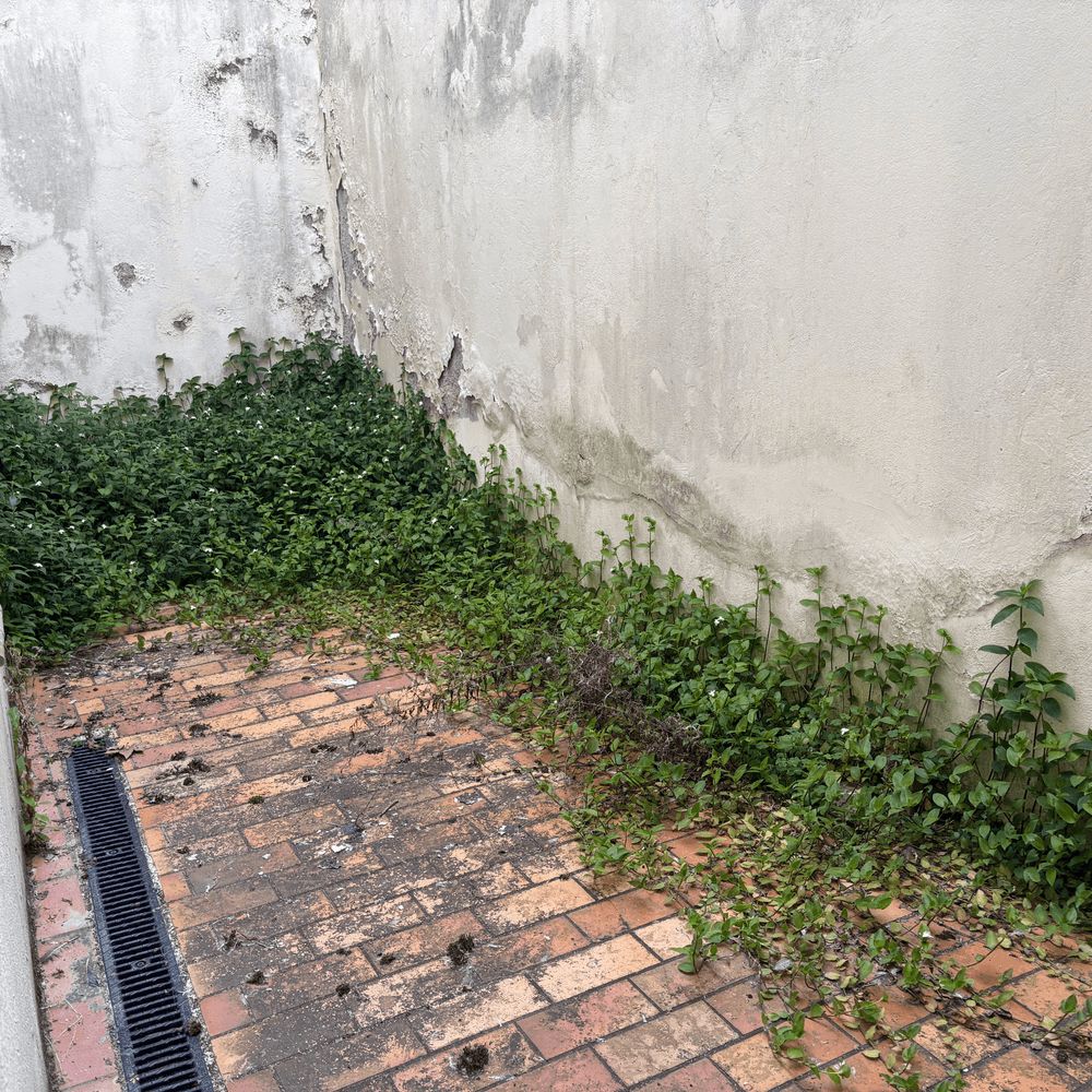 Programme immobilier 15 Rue Béranger 47000 Agen à Agen