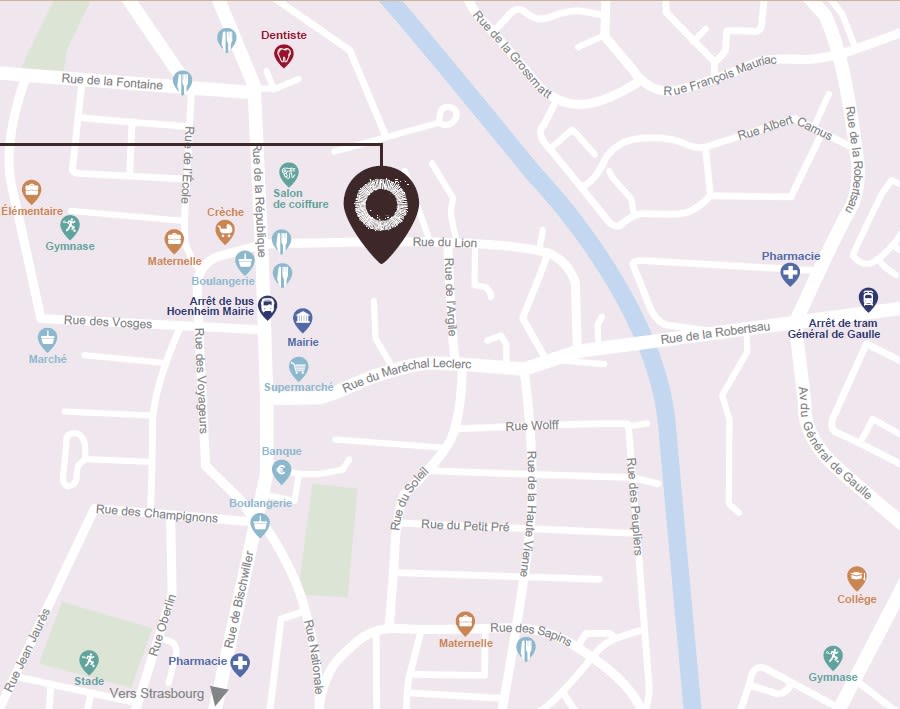 Programme immobilier Villa du Lion à Hœnheim