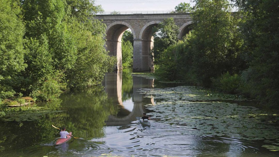 e1bf005b3b53d543a8b13c290c9ff9c7