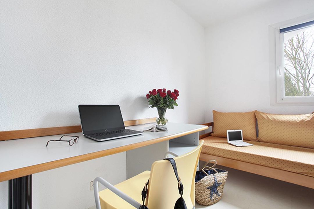 e2dec4ce39a1ce15536e5dae85197264