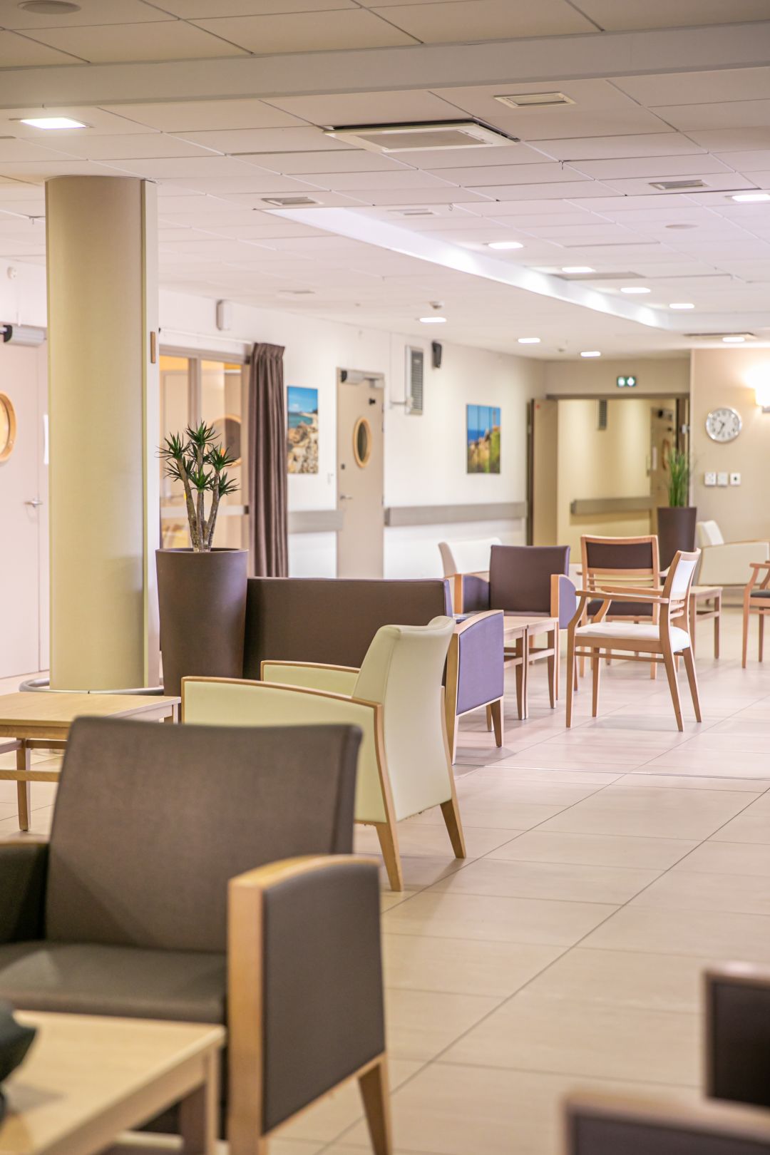 e9d91e521f55e46895c1aec262ea64d6