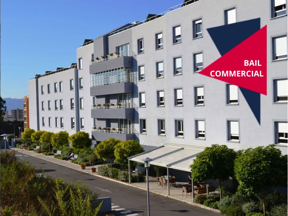 L'olivier bleu - Ajaccio - Budiccioni