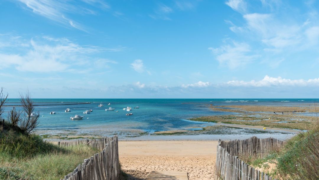 Programme immobilier Arénaria à Saint-Georges-d'Oléron