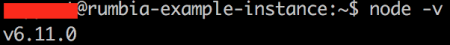 check nodejs version