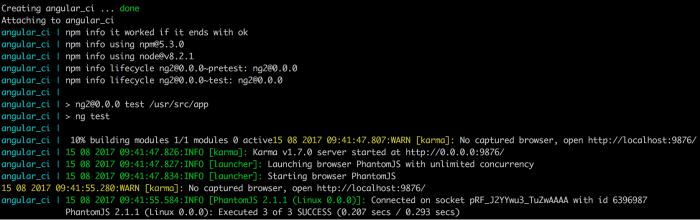 Angular Test Result