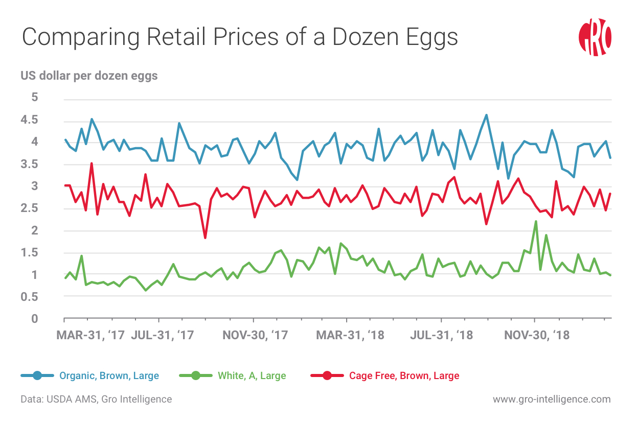 The Big Egg Challenge Meeting Demand for Cage Free