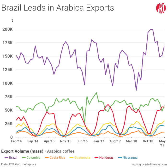 Coffee arabica loses value compared to conillon - SAFRAS & Mercado