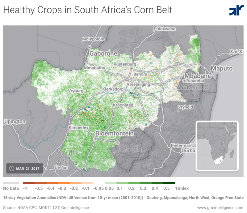 Benoni, South Africa, Map, & Fact