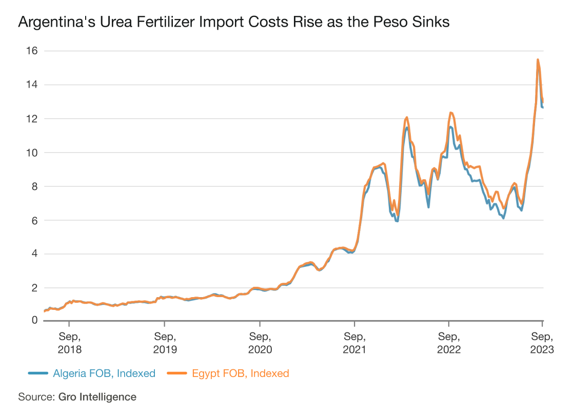 Argentina's Corn Crop Is Threatened by Drought, Low Fertilizer Supplies