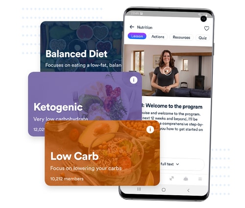 Photo of types of nutrition streams within Gro...  Balanced diet, Ketogenic and Low Carb