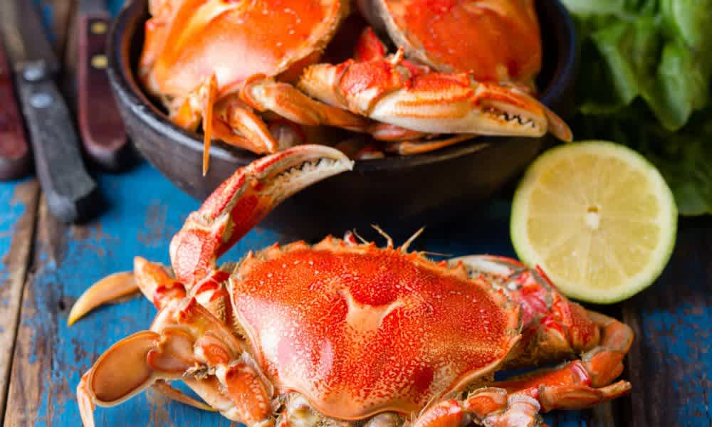 Recipes Archive Archives Diabetes