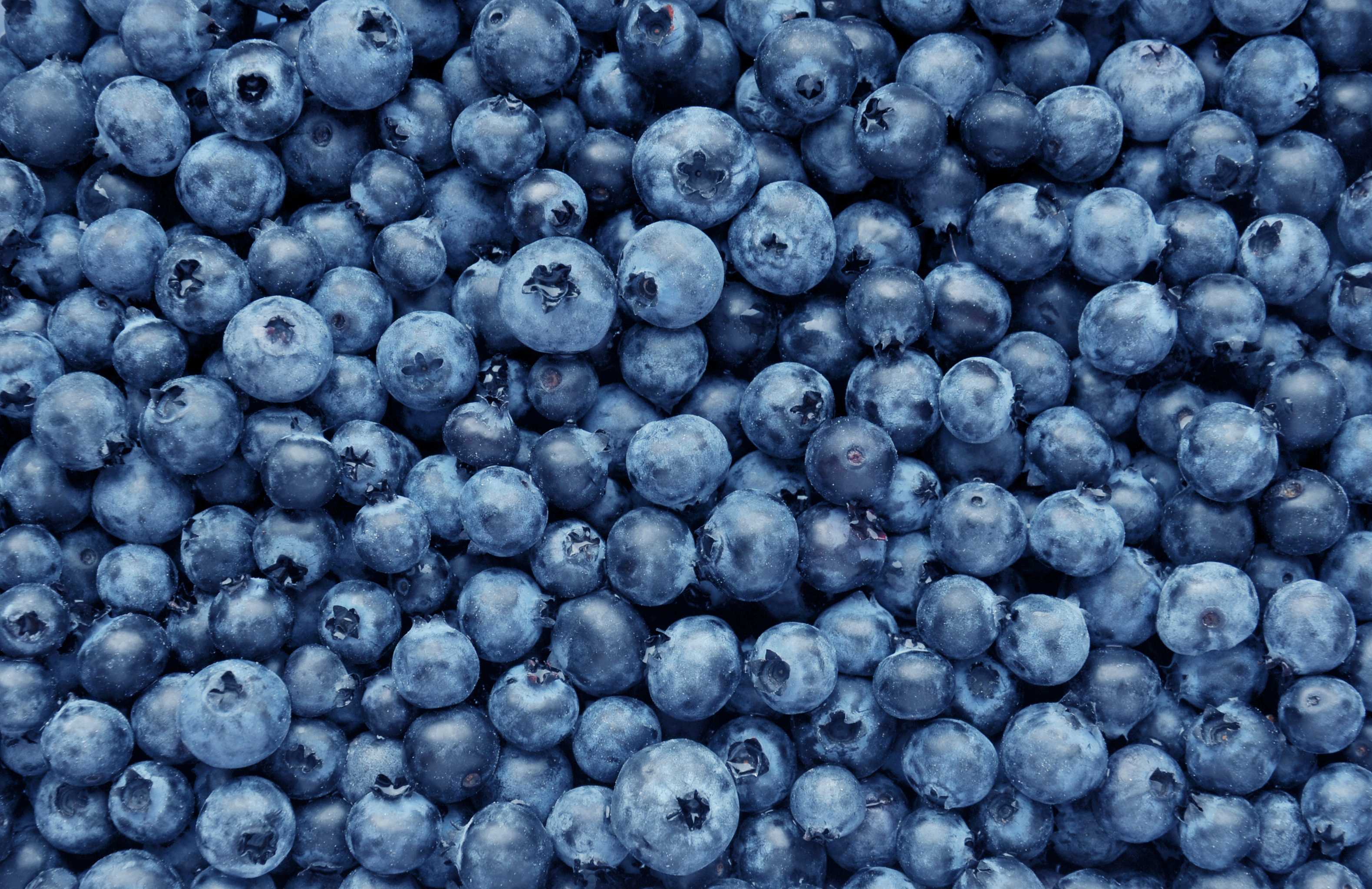 Blueberry Smoothie for Diabetics