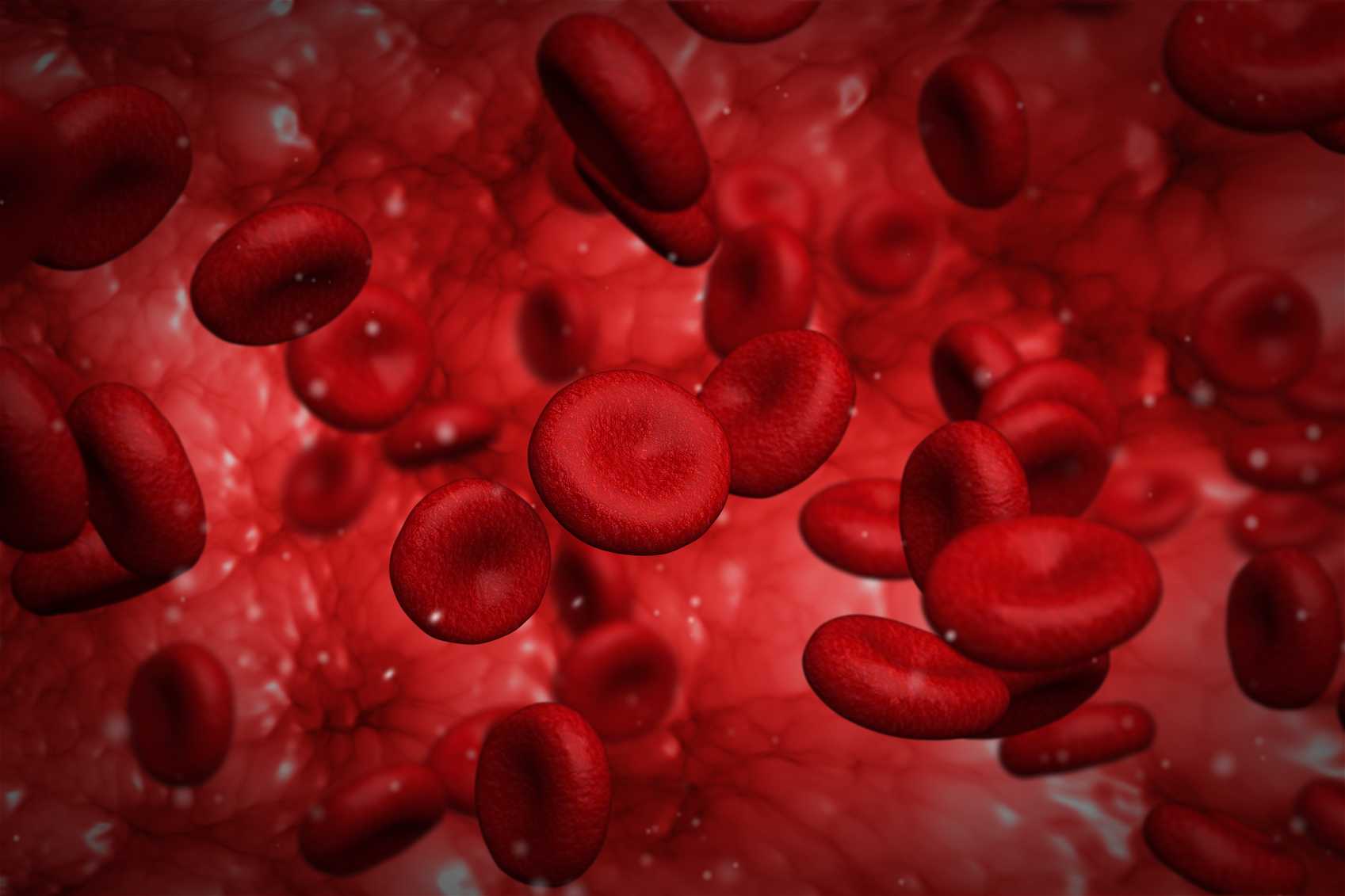 Random Plasma Glucose Test