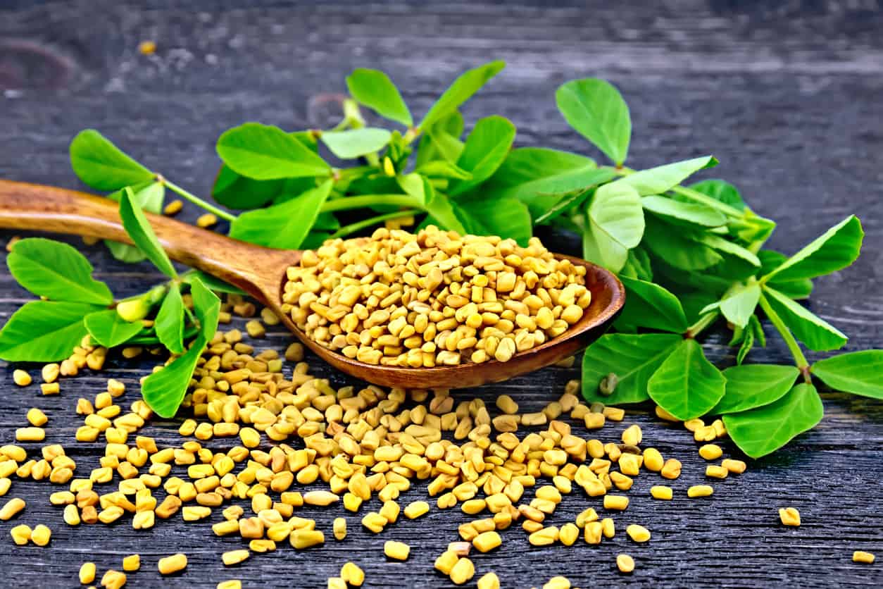 Fenugreek and Diabetes - Blood Sugar Levels Effects &amp; Metabolism