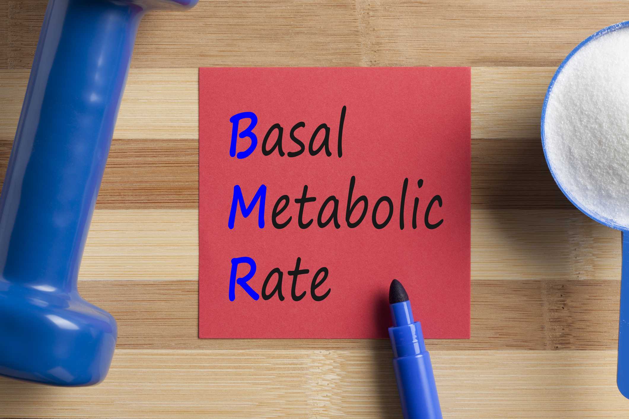 bmr-calculator-metabolism-calculator-basal-metabolic-rate