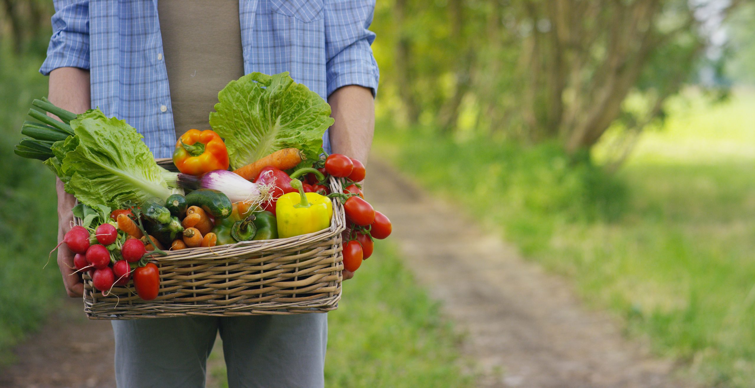 Low Carb Plant based Diets