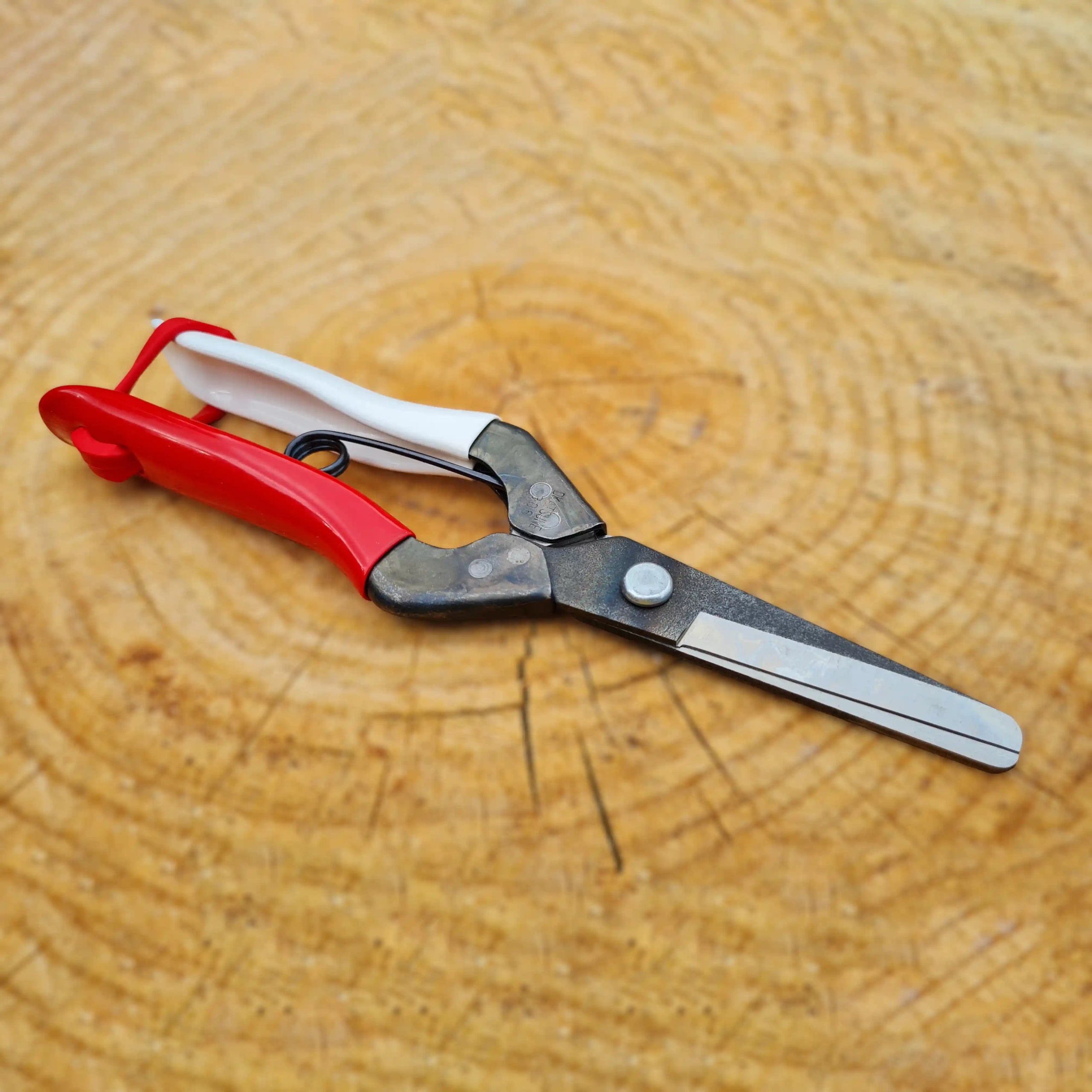 Tesoura de Colheita Okatsune 306 - Image 2