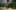 Event Collection Header