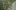 Event Collection Header